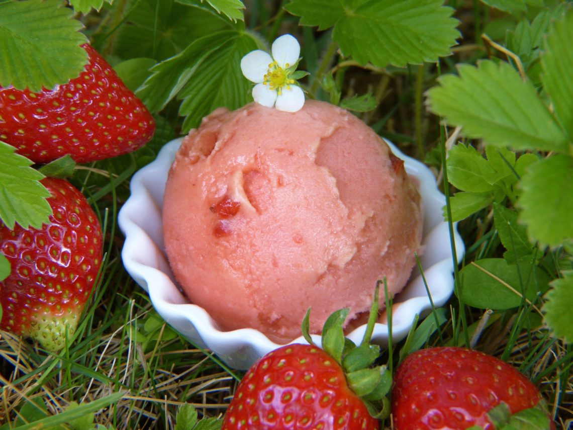 Диета на мороженном: добавьте свежих ягод!